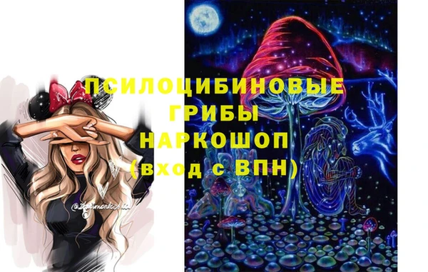 ГАЛЛЮЦИНОГЕННЫЕ ГРИБЫ Алексин