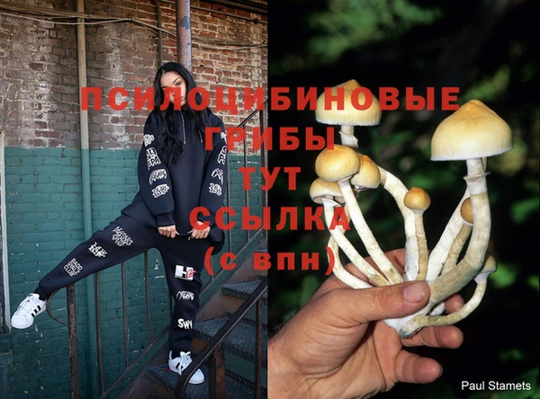 MESCALINE Алзамай